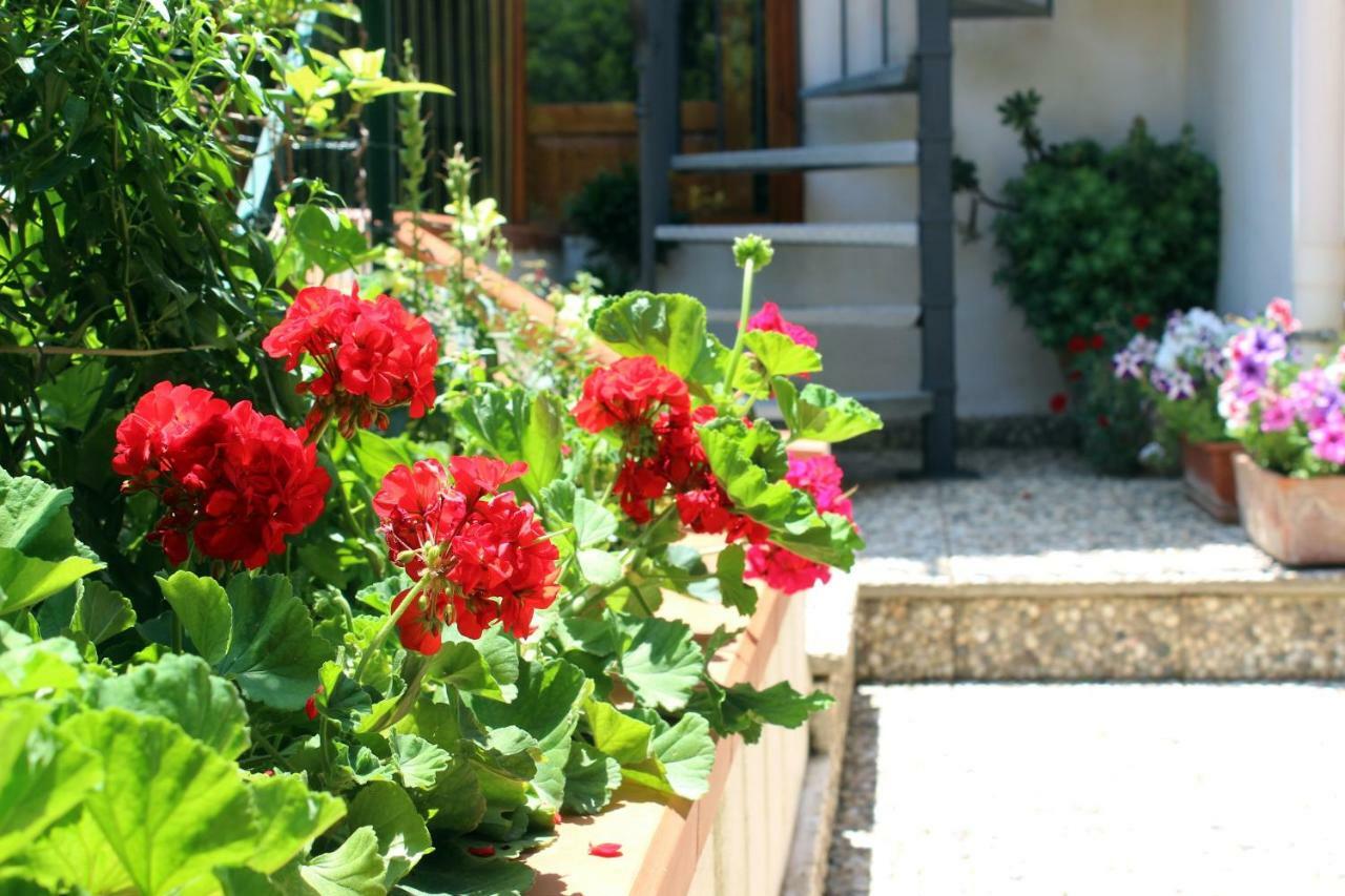 Raggio Di Sole Bed & Breakfast Macari Luaran gambar